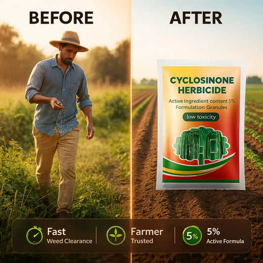 Cyclosinone Granular Weed Killer Instant Root Death (Buy 1 Get 1 Free)