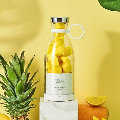 Portable Mini Juicer