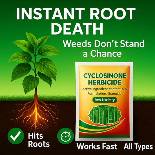 Cyclosinone Granular Weed Killer Instant Root Death (Buy 1 Get 1 Free)